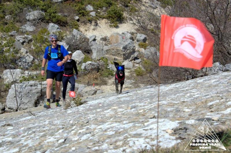 p14-8