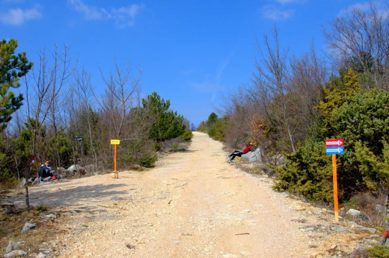 P16-81